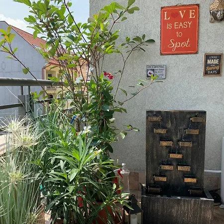 Sunny Deluxe Apt. & Terrace Apartment *