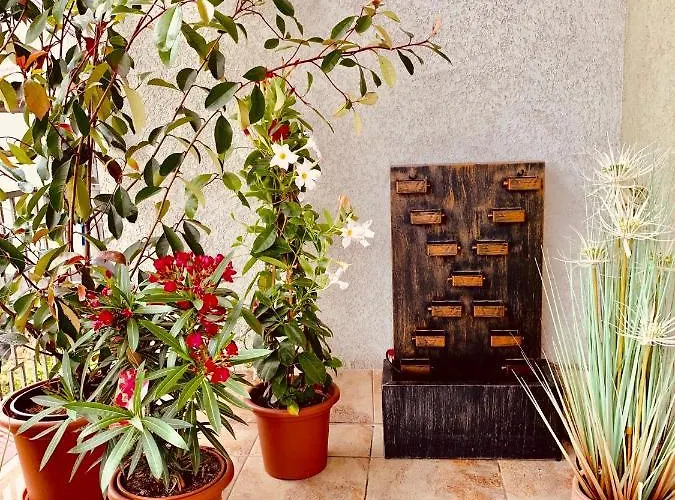 Sunny Deluxe Apt. & Terrace